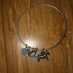 Silver Alex and ani bracelet